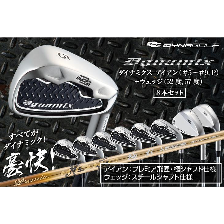 DYNAGOLF（ダイナゴルフ） ゴルフクラブ メンズ アイアンセット 8本