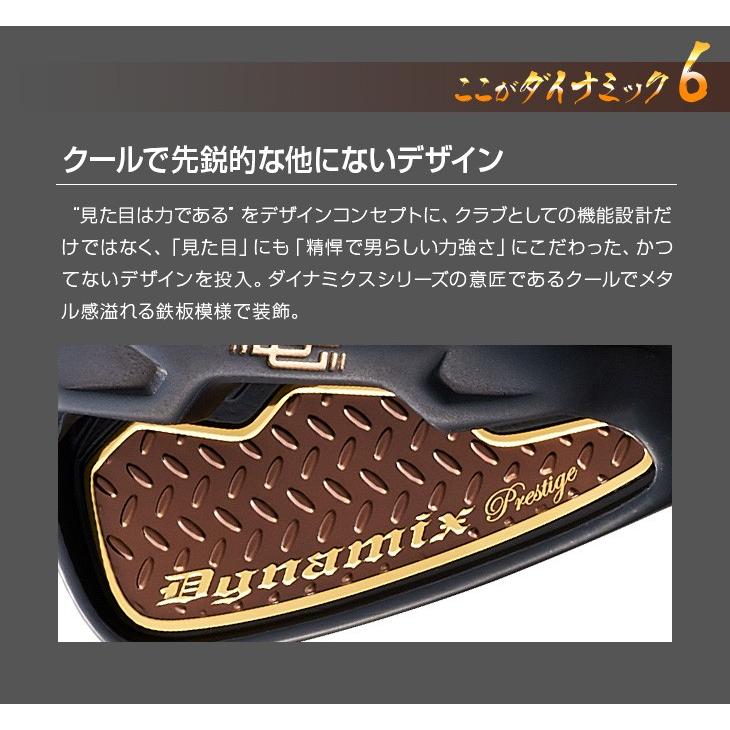 DYNAGOLF（ダイナゴルフ） ゴルフ アイアンセット 6本 メンズ 新品 5I