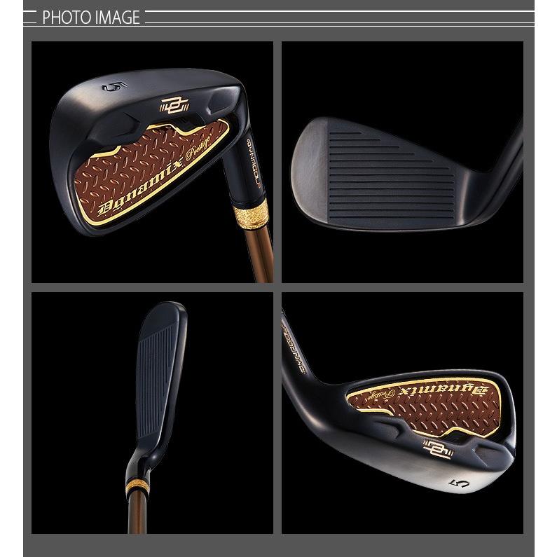 DYNAGOLF（ダイナゴルフ） ゴルフ アイアンセット 6本 メンズ 新品 5I