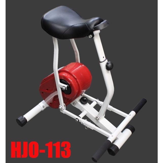 乗馬フィットネス ヘルスジョバー eco HJO-113 骨盤周りの筋肉を鍛え