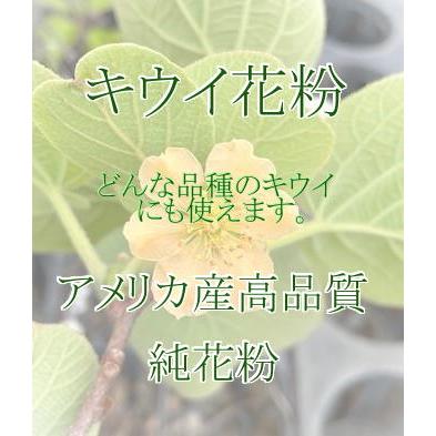 人工授粉用キウイ 花粉 1袋 : e-フラワー - 通販 - Yahoo!ショッピング