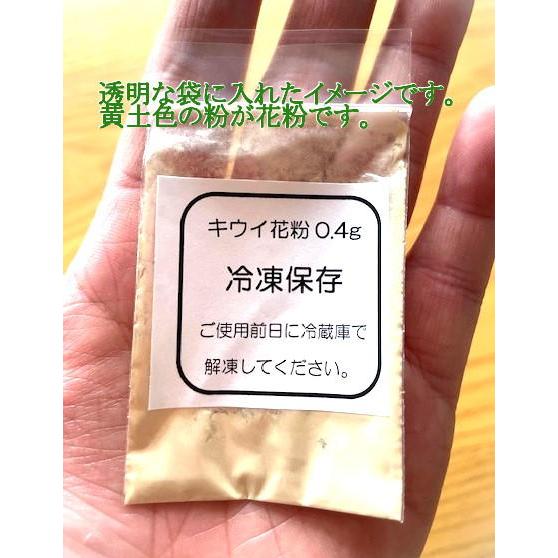 人工授粉用キウイ 花粉 1袋 : e-フラワー - 通販 - Yahoo!ショッピング