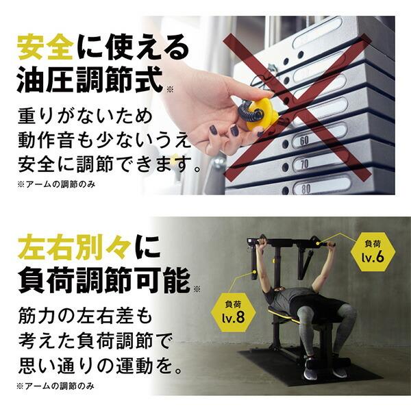 ALINCO（アルインコ） マルチワークアウトジム トレーニングマシン