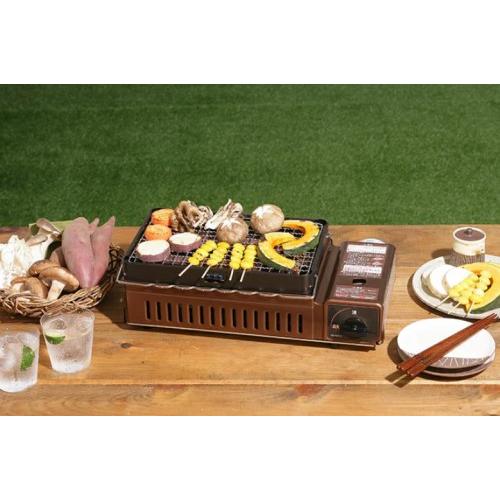 Iwatani（イワタニ） 炉ばた大将DX 炙家 炙りや 替え網 2枚入 カセット