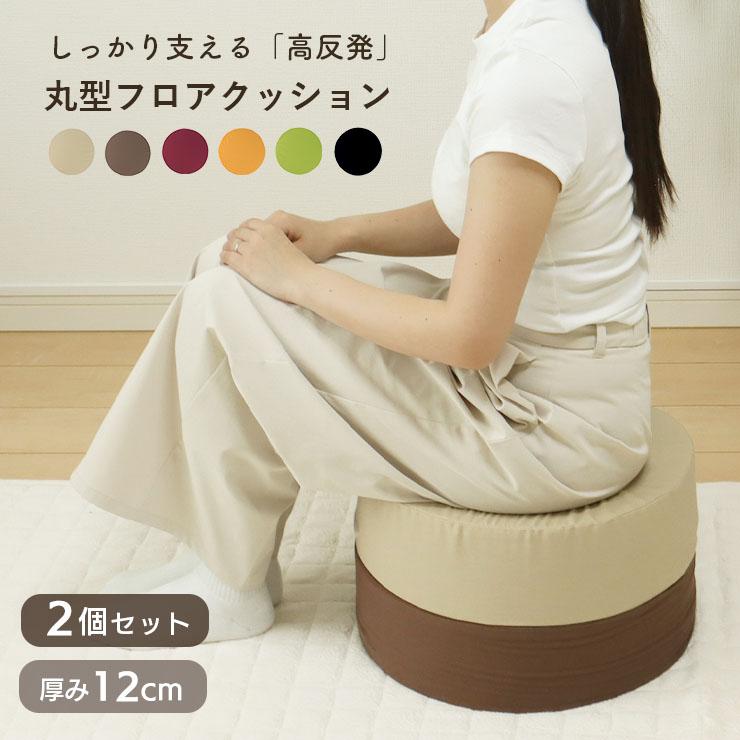 クッション エコ アイテム フロアクッション 座布団 椅子 スツール 高