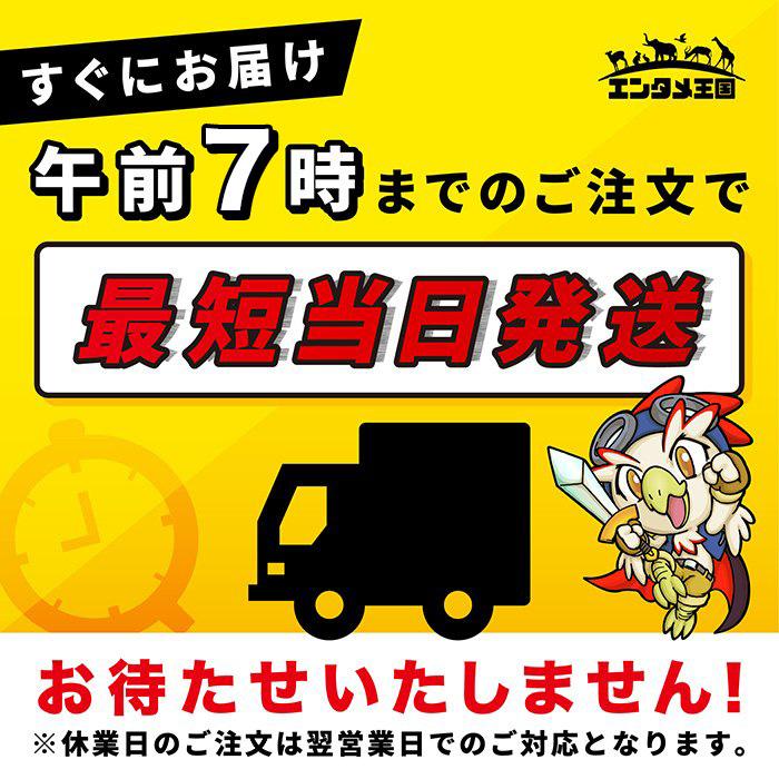 セガ（SEGA） ドリキャス DC ドリームキャスト 本体のみ 本体単品 中古