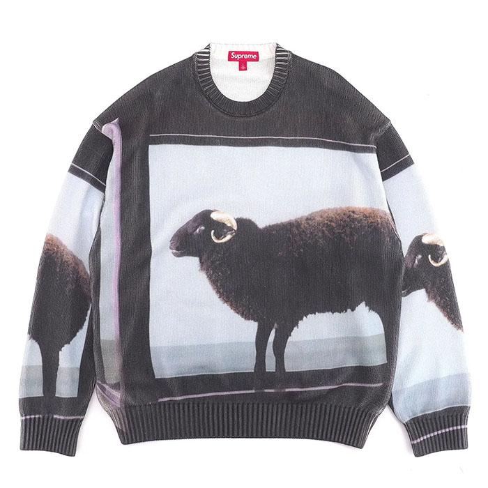 Supreme（シュプリーム） 【並行輸入品】Supreme Damien Hirst Sweater