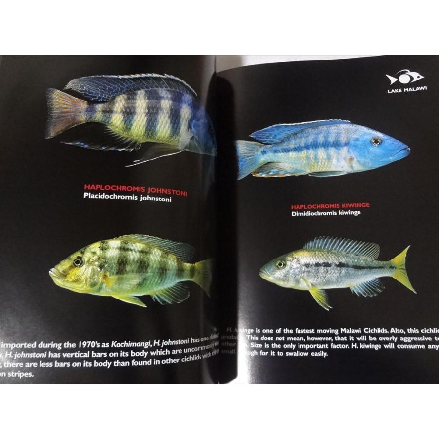 洋書 シクリッド Cichlids The Pictorial Guide Vol.I 熱帯魚 本
