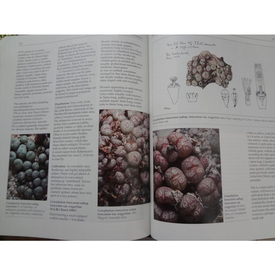 多肉植物 洋書 Genus Conophytum A Conograph Steven Hammer