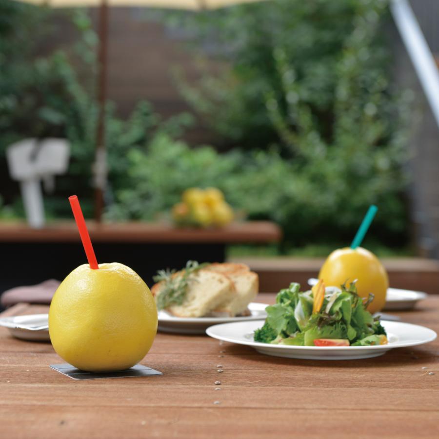 セットでお得！果汁搾り機カジュッタ【正規代理店】 : エコ・コンパス