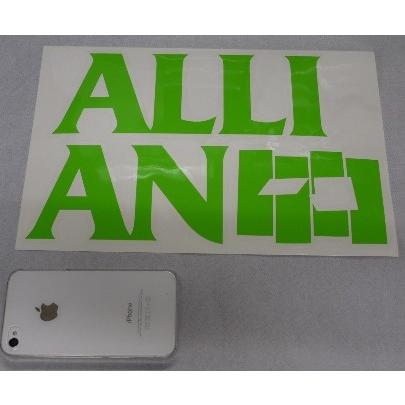 ALLIAN（アライアン） 送料込み価格 ダイカット スノーボード