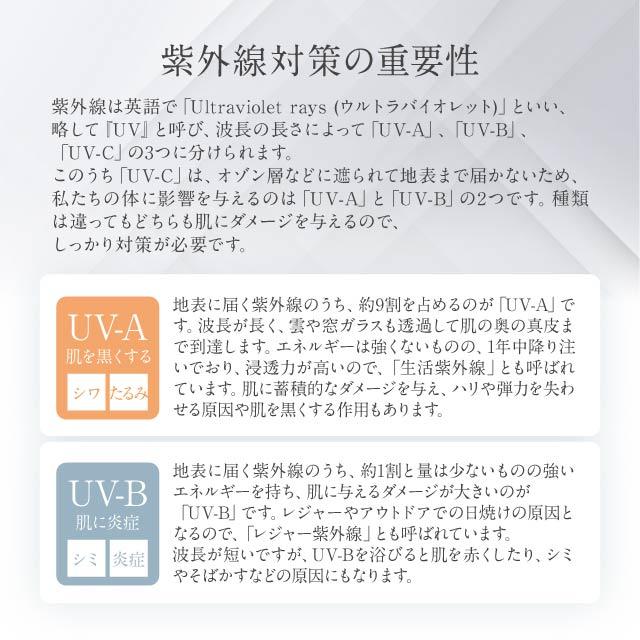 SPICARE V3 プロテクション サンスクリーン 正規品 日焼け止め