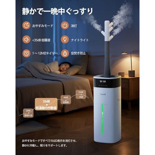 LACIDOLL 加湿器 大容量 20L/最大40畳 ハイブリッド式 スチーム式 加熱