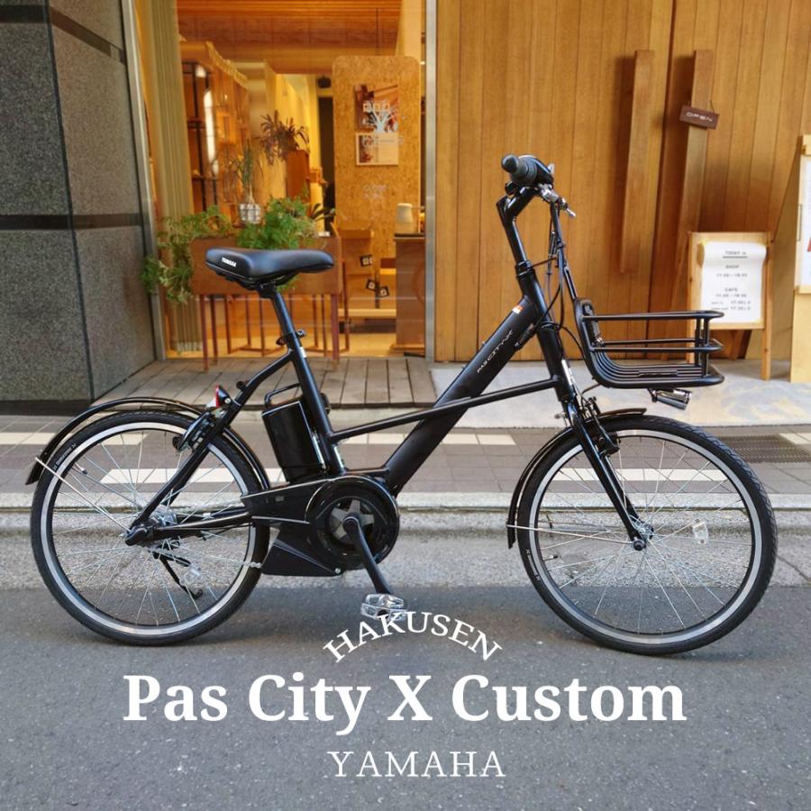 PAS CITY アルミパイプバスケット搭載 PAS X(パスシティX)（PA20CX