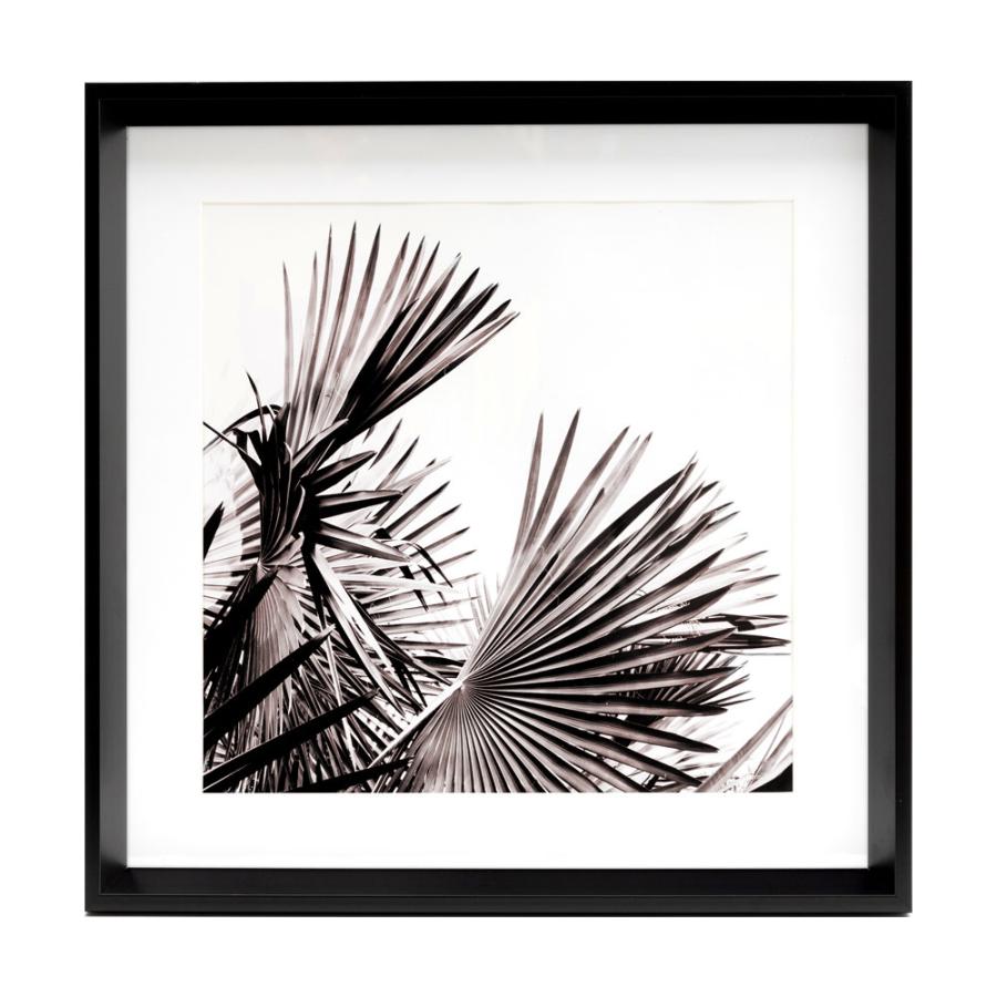 ELEMENTS 壁掛けアート アートフレーム アートパネル モノクロ