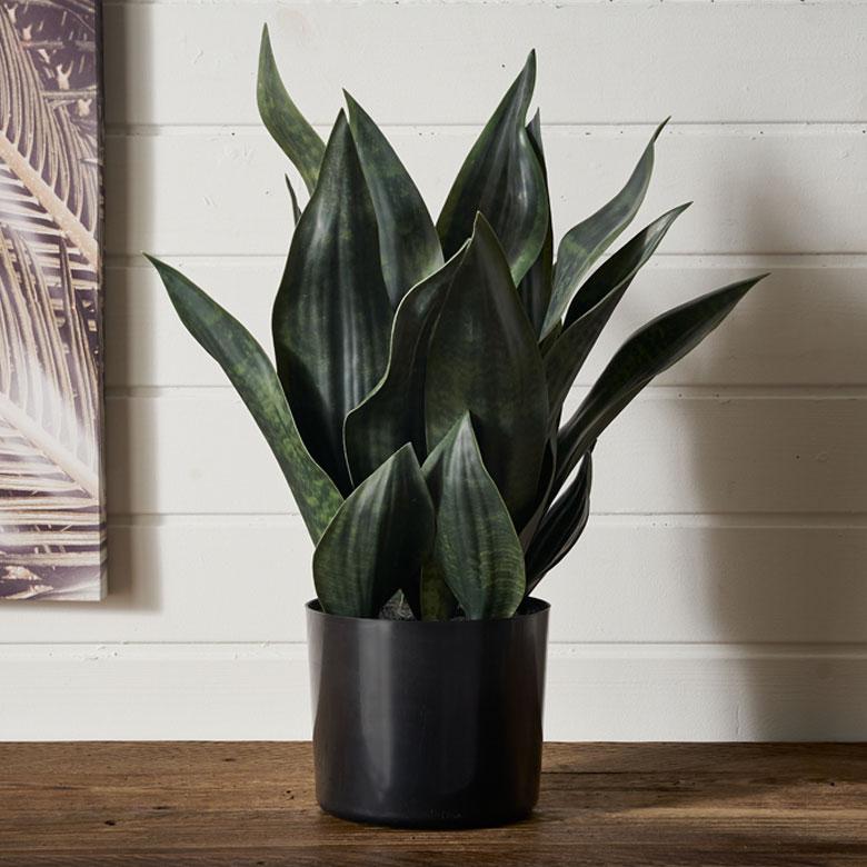 フェイク グリーン サンセベリア サンスベリア 高さ 48cm 人工 観葉