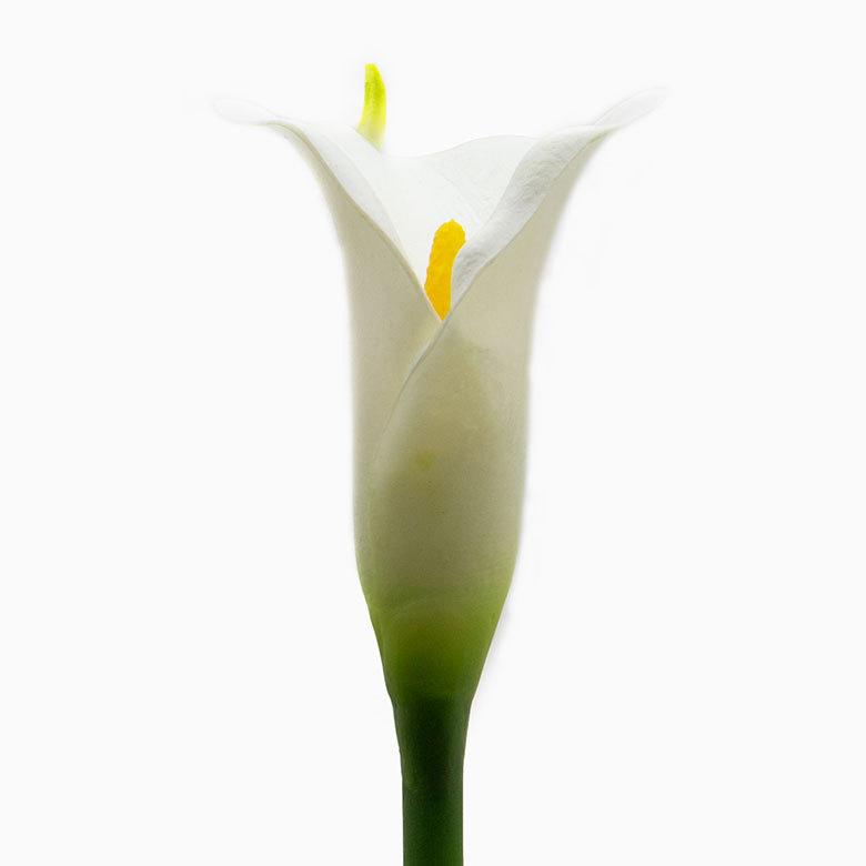 アートフラワー 造花 カラー リリー ロング 3色 フェイクグリーン