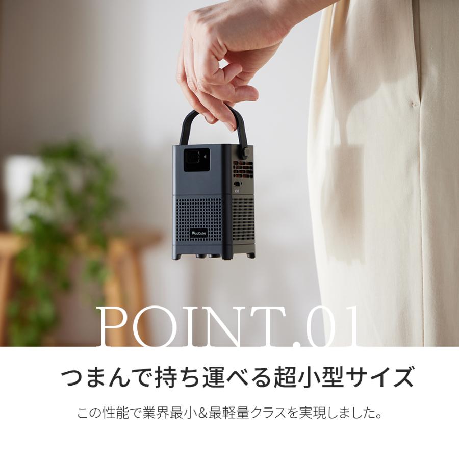 超小型プロジェクター ピコキューブ PRO Picocube 天井 家庭用 明るい