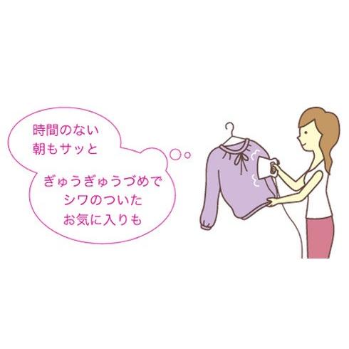 Panasonic（パナソニック） Panasonic NI-FS310-VP 衣類スチーマー