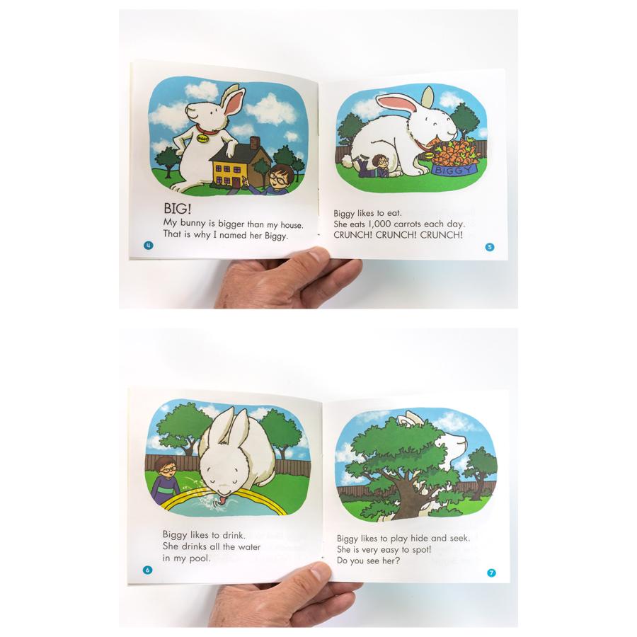 First Little Readers レベルE レベルF 音声付き SCHOLASTIC 正規販売