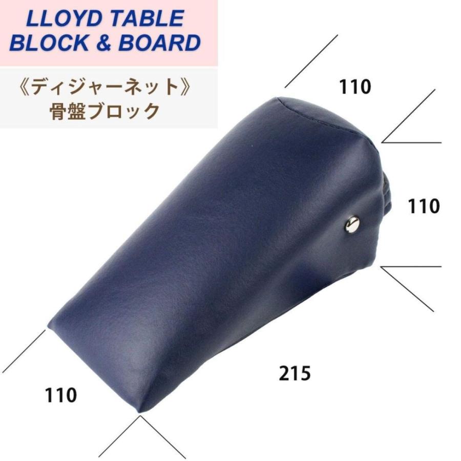 LLOYD (ロイド) ディジャーネット 骨盤ブロック 2個 三角ブロック