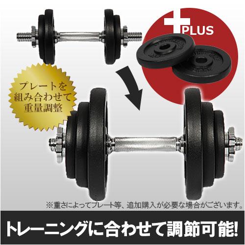 LEADING EDGE（リーディングエッジ） アイアンダンベル 片手40kg×2個