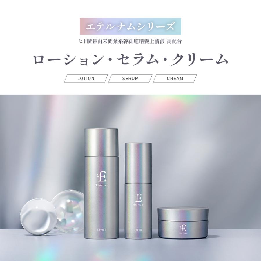 公式 / リニューアル】 スキンケア 3点 セット エテルナム 日本製 化粧
