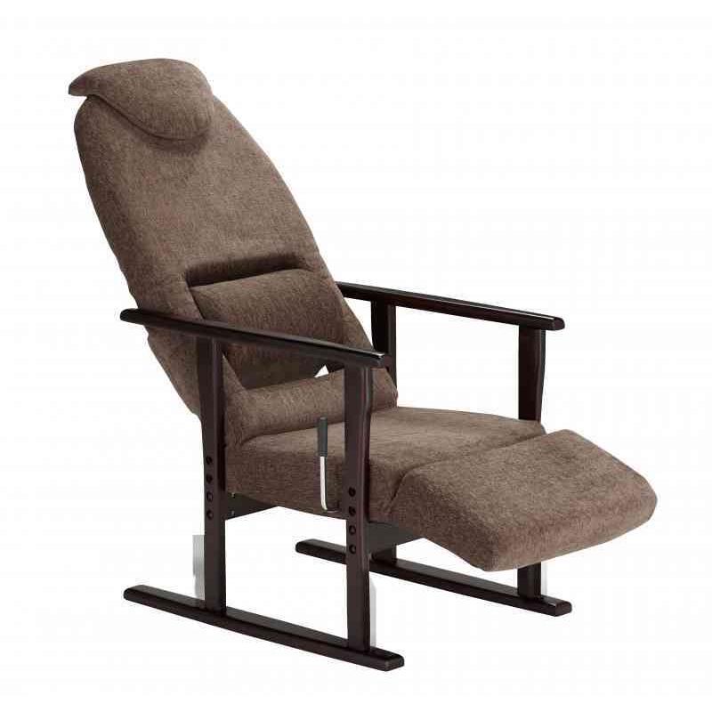 フランスベッド（FRANCEBED） リハテック 背楽チェア SEC-02 ダーク