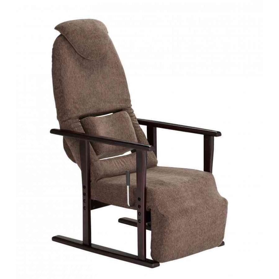 フランスベッド（FRANCEBED） リハテック 背楽チェア SEC-02 ダーク