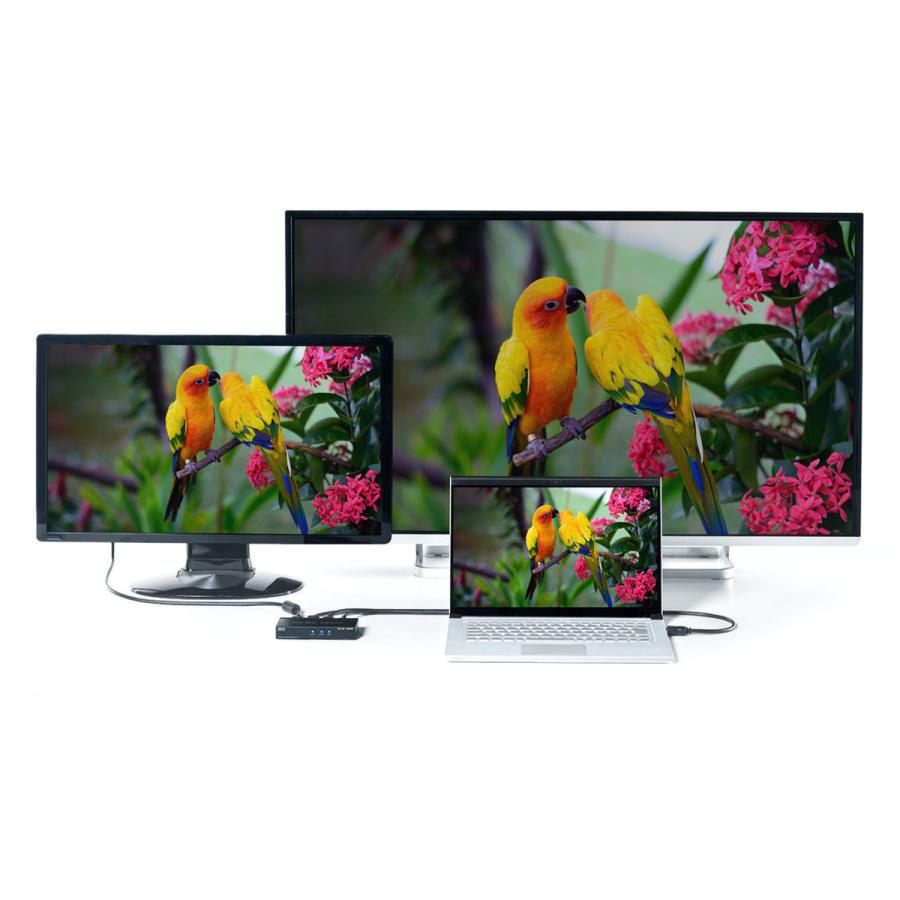 SANWA SUPPLY（サンワサプライ） HDMI分配器 1入力 2出力 4K/60Hz HDR