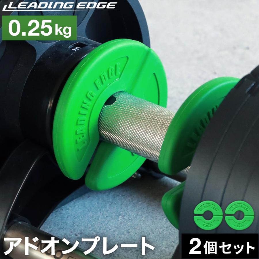 LEADING EDGE（リーディングエッジ） アドオンプレート 0.25kg 2枚