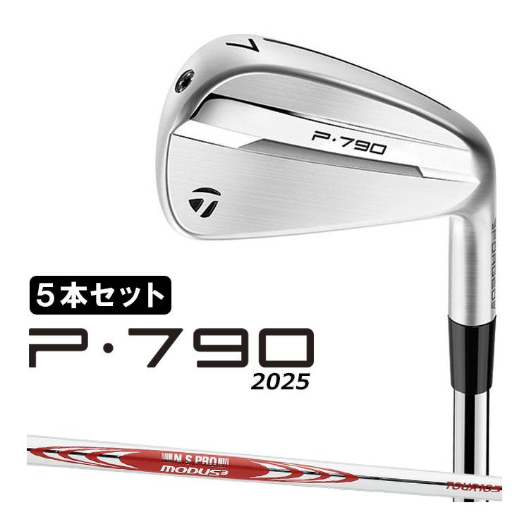 TaylorMade（テーラーメイド） P790 アイアン 5本セット(#6-PW) メンズ