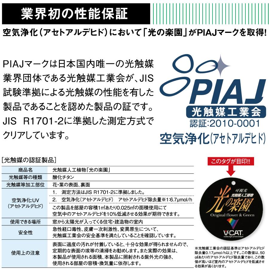 光触媒人工植物 株式会社アートクリエイション インテリア フェイク