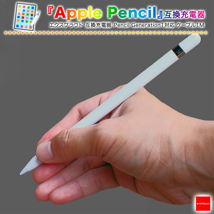 送料無料 Apple Pencil 第1世代 互換充電器 Type-A 最新モデル