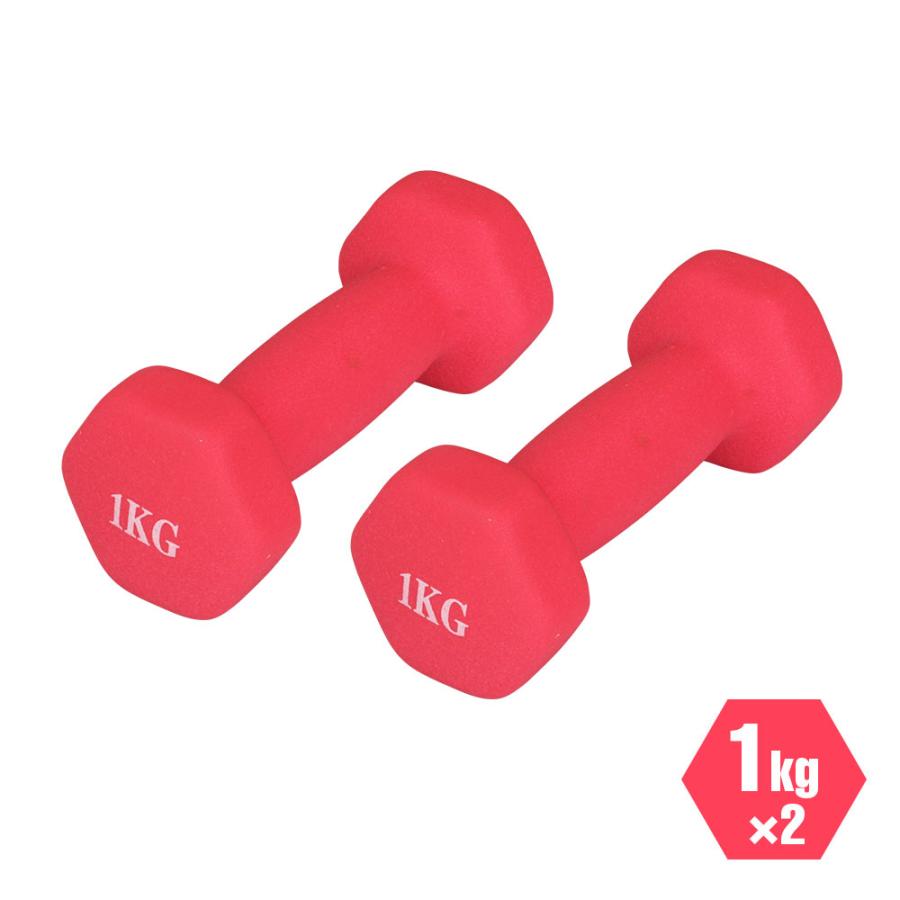 ダンベル 1kg 2個セット 鉄アレイ 筋トレ 筋力 トレーニング