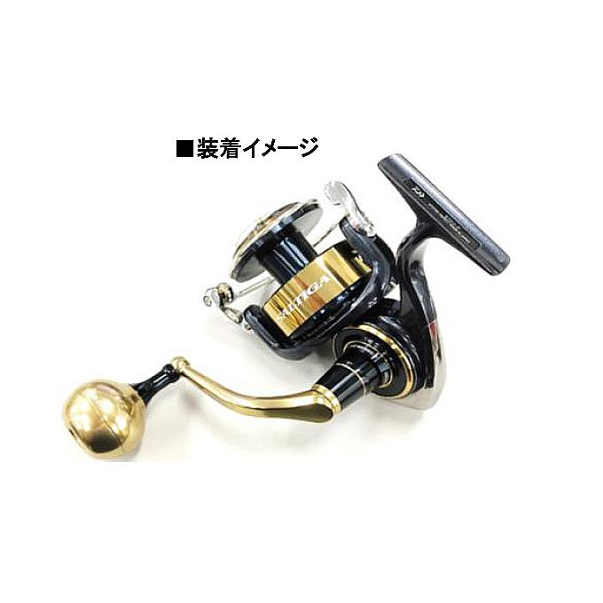 DAIWA（ダイワ） 【取り寄せ商品】ダイワ SLP WORKS 20 ソルティガ
