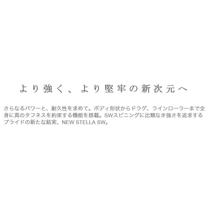 シマノ（SHIMANO） 【アウトレット商品】シマノ 19 ステラSW 8000HG