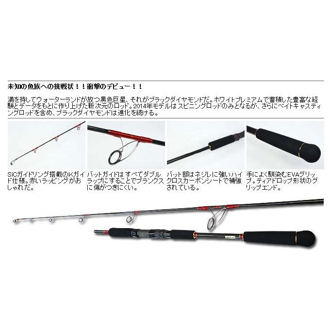 WaterLand（ウォーターランド） ブラックダイヤモンド B604 (ベイト