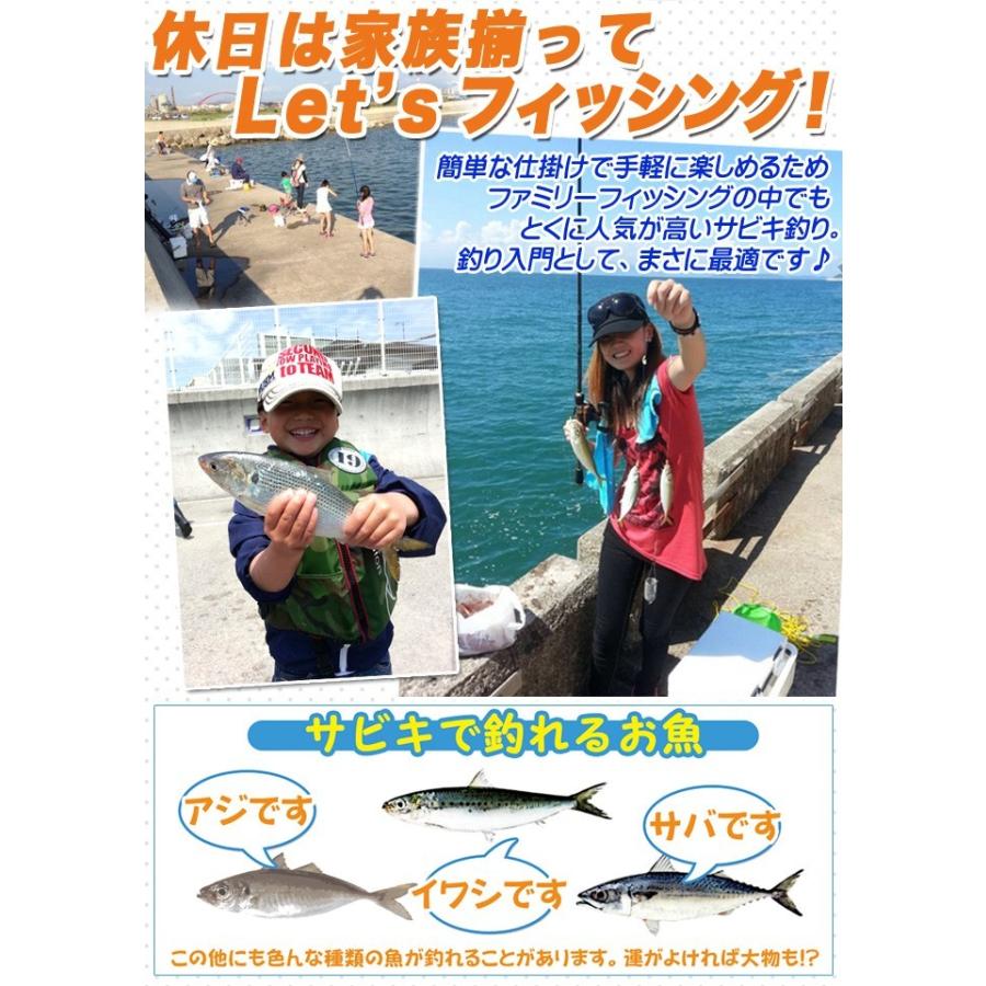 プロマリン（PRO MARINE） 誰でも簡単！わくわくサビキ釣りセット DX