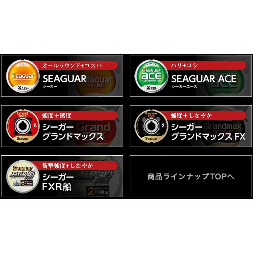 Seaguar（シーガー） クレハ/Kureha 150m 6号 22Lbs フロロカーボン