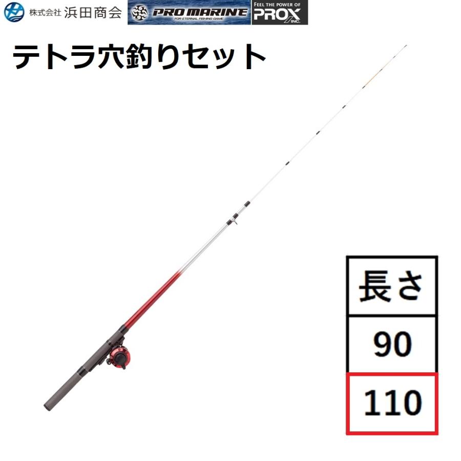 浜田商会 浜田商会/プロックス/プロマリン テトラ穴釣りセット110 1.1m