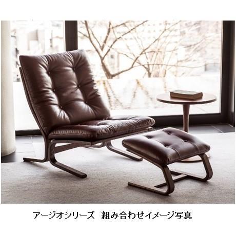 FUJI FURNITURE（冨士ファニチア） [うれしいレビュー特典有り] Agio