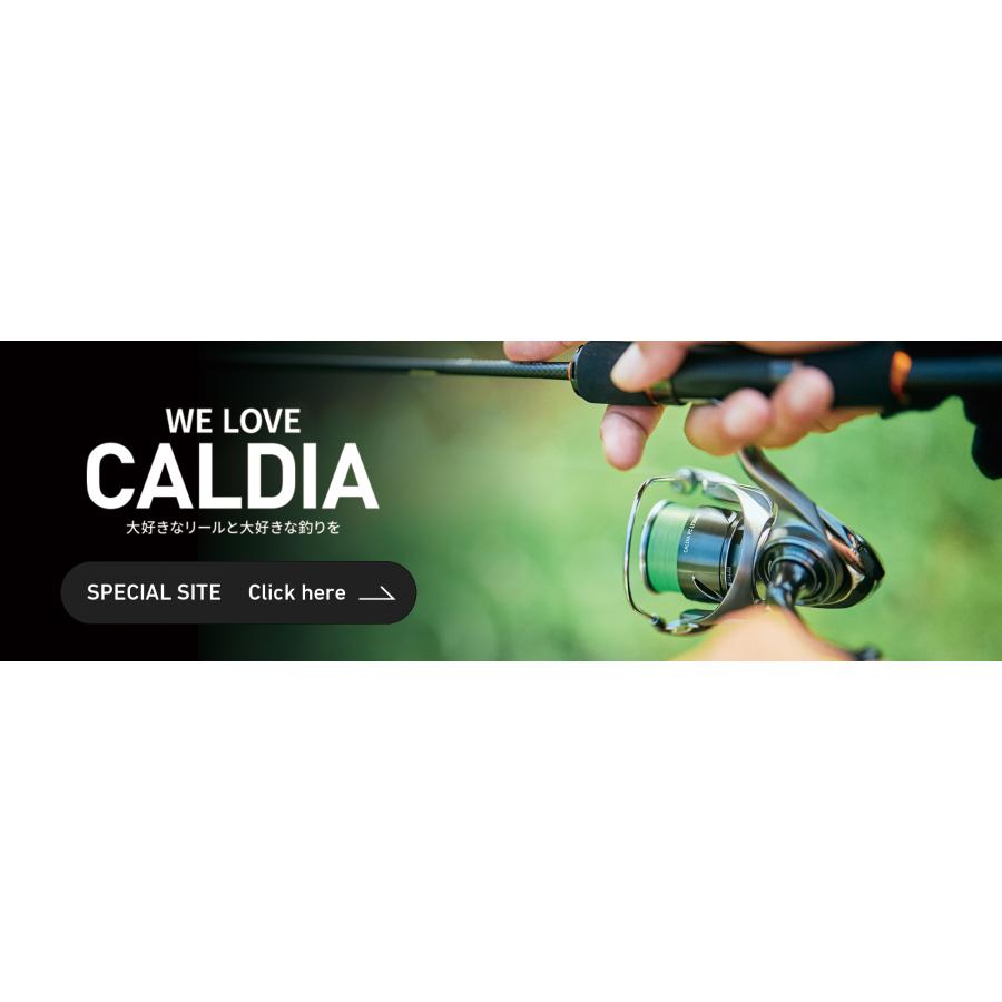 DAIWA（ダイワ） 25'カルディア LT 4000-CXH : つり具山陽 Yahoo!店