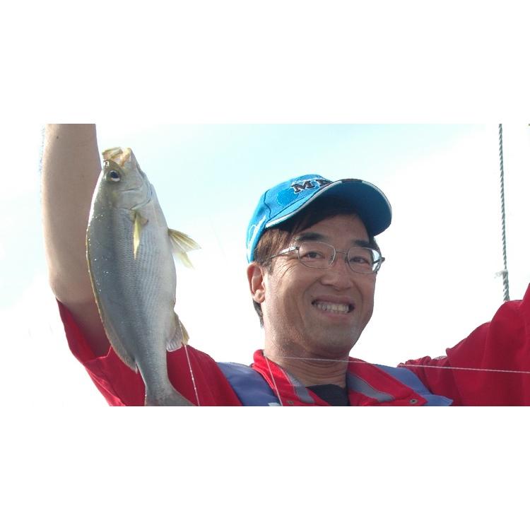 alpha tackle（アルファタックル） 沖釣工房 ARクワセ 20-300 : つり具