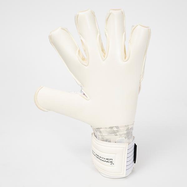 グローブケースプレゼント】 セルス トータルコンタクト アクア ピュア