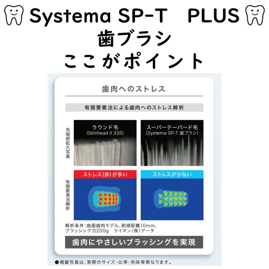 LION（ライオン） 送料無料 LION DENT. systema SP-T 歯ブラシ 12本