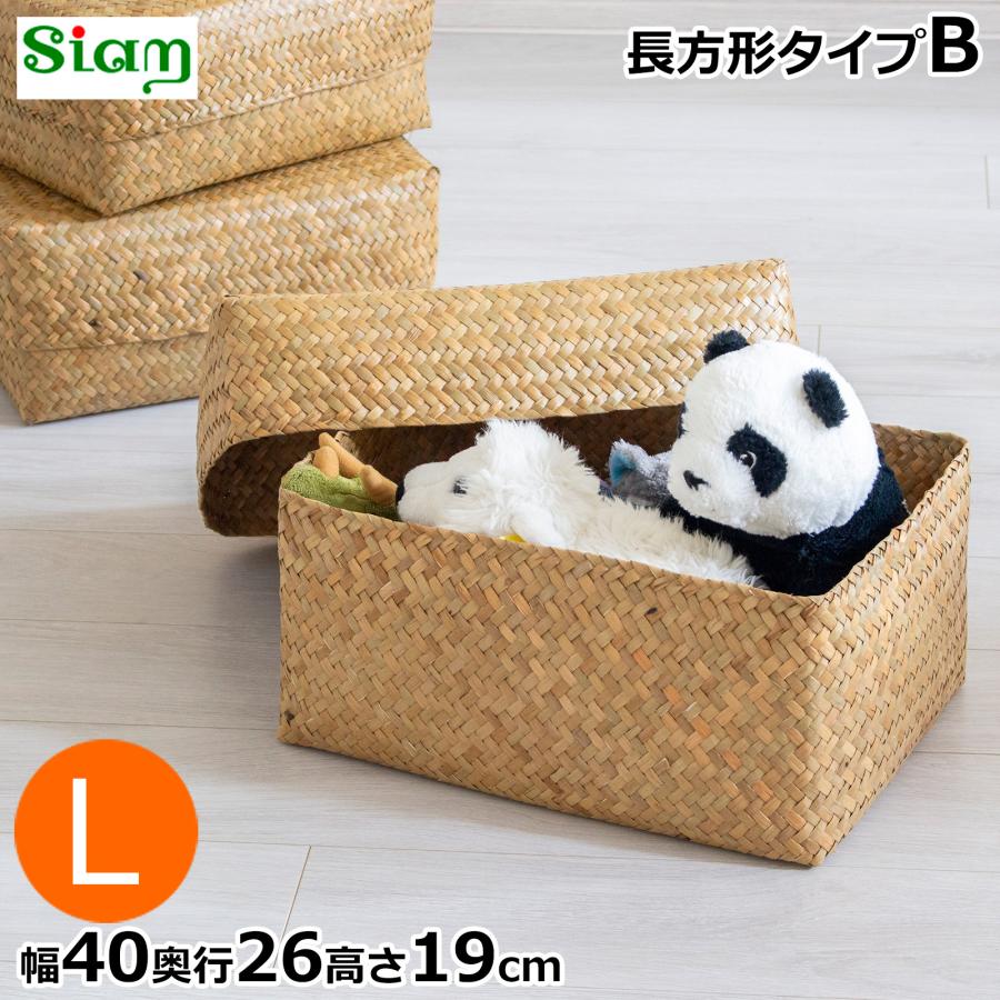 3/8はポイント10倍／ 蓋付き 収納かご L 幅40cm 長方形 ふた付き四角