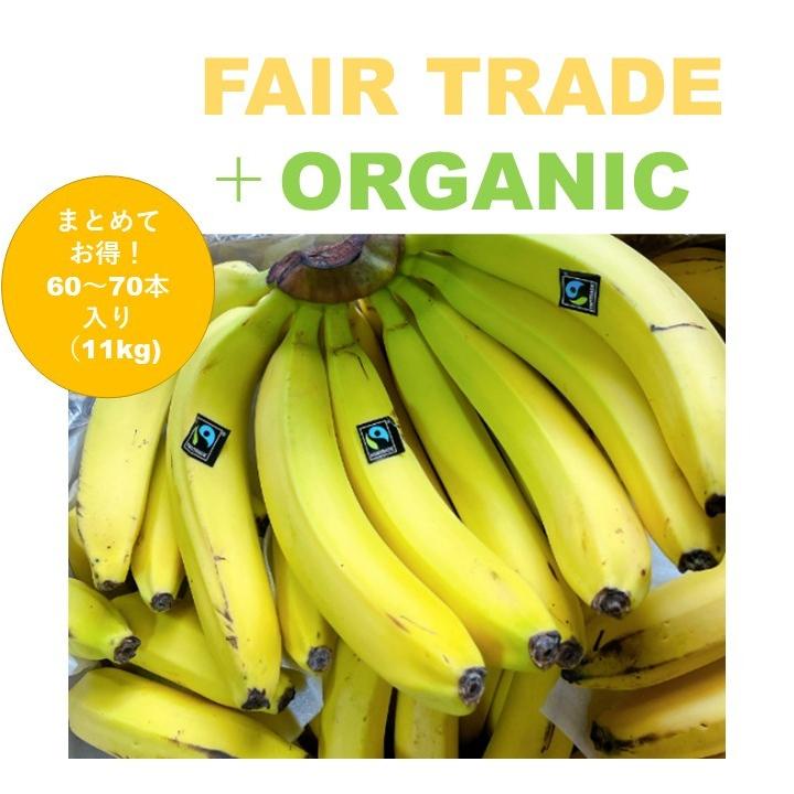 11kg 60~70本 エクアドル産 おいしさひろがるフェアトレードバナナ