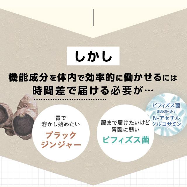 FANCL（ファンケル） 【ポイント最大36% 20日23:59まで】内脂サポート