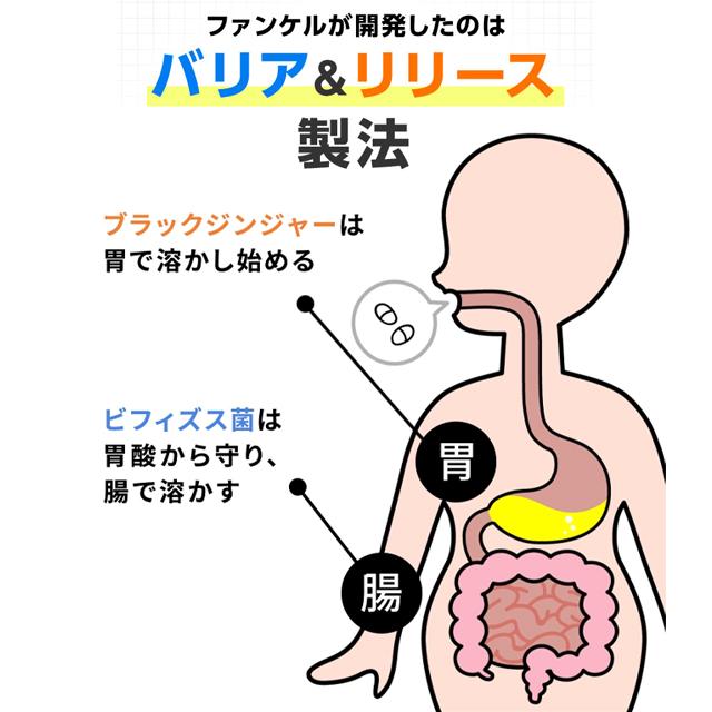 FANCL（ファンケル） 【ポイント最大36% 20日23:59まで】内脂サポート